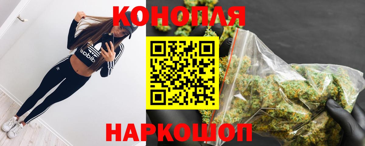 Бошки Шишки тримм Владимир